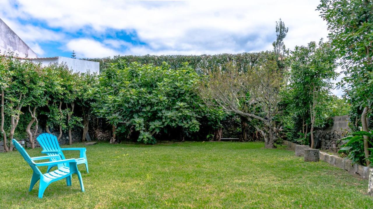 City Center, 200 Meters To Marina, Walk To Everything, Private Yard And Garden Ponta Delgada Exteriér fotografie