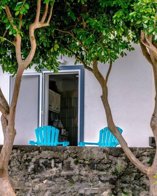 City Center, 200 Meters To Marina, Walk To Everything, Private Yard And Garden Ponta Delgada Exteriér fotografie